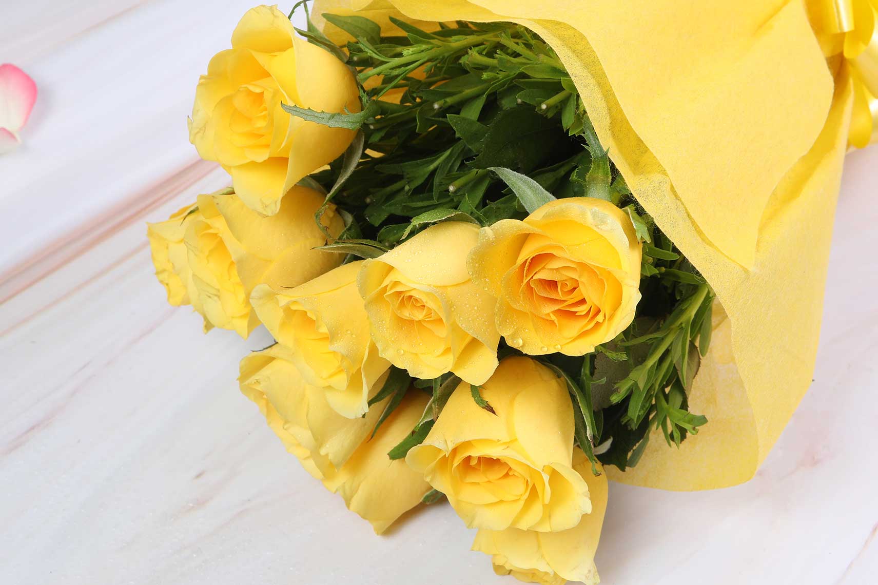 Yellow warming roses 