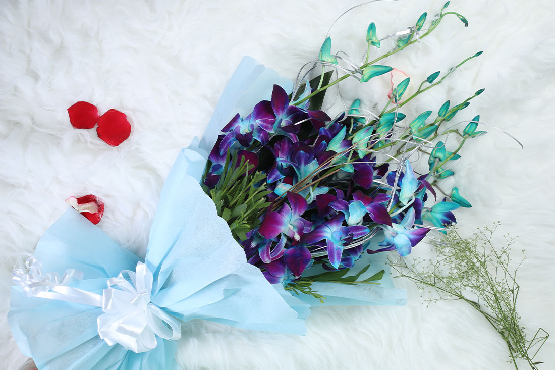Blue Orchid Gift Set - Bunch of 10 Blue Orchids Buy Online