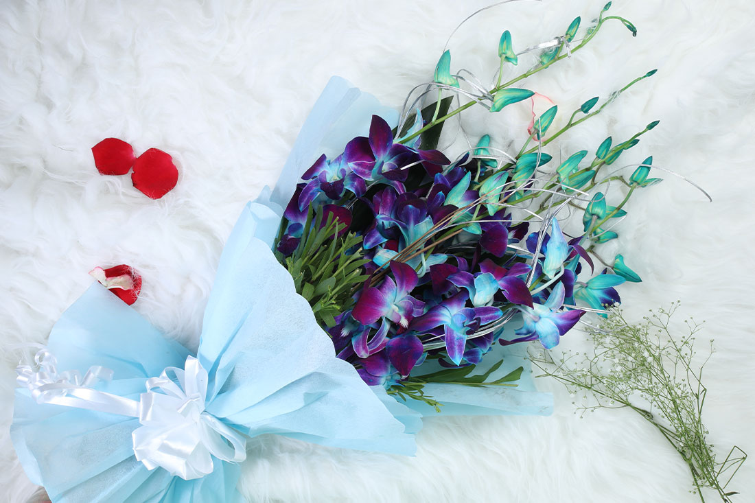 Order Blue Orchid Gift Set - Bunch of 10 Blue Orchids