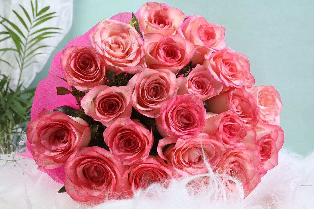 Buy 20 Pink Roses Bouquet