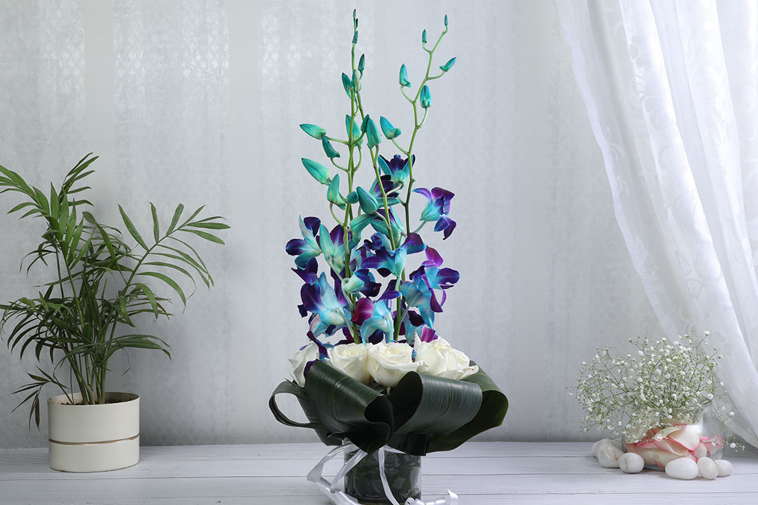 5 Blue Orchids & 5 White Roses Arrangement in a Cylindrical Glass Vase