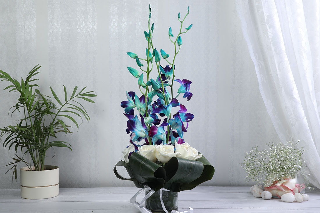 Send 5 Blue Orchids & 5 White Roses Arrangement in a Cylindrical Glass Vase