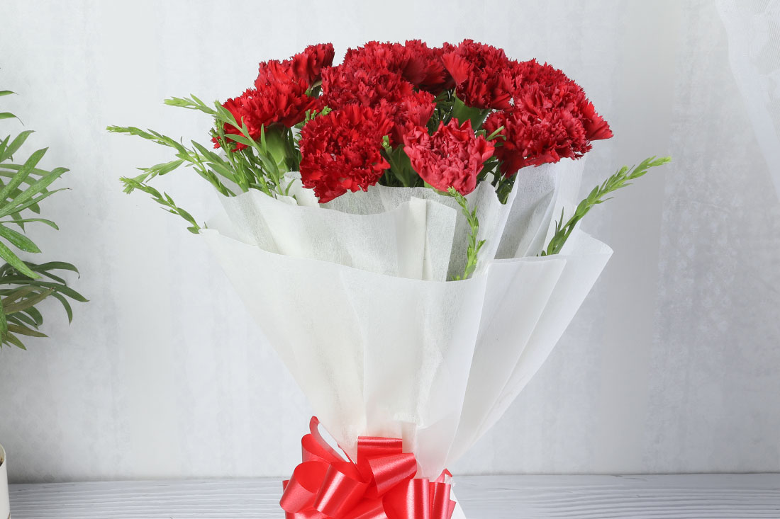 Bunch of 10 Red Carnations - Buy Online