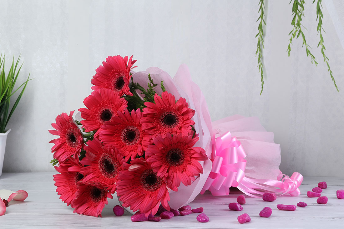 Bunch of 10 Pink Gerberas Order Now