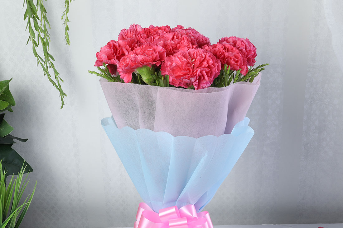 Bunch of 10 Pink Carnations