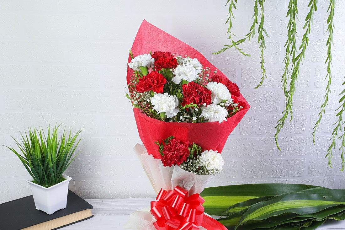 Send Red and White Carnations in a Bunch Online