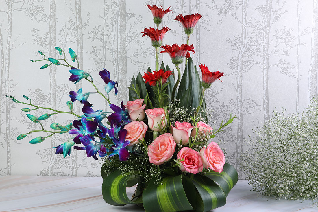 8 Pink Roses,  6 Red Gerbera, and 3 Blue Orchids in a Basket