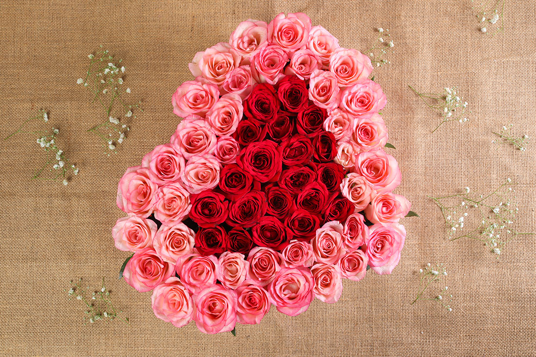 Buy Heart Shaped Arrangement of 50 Pink & Red Roses