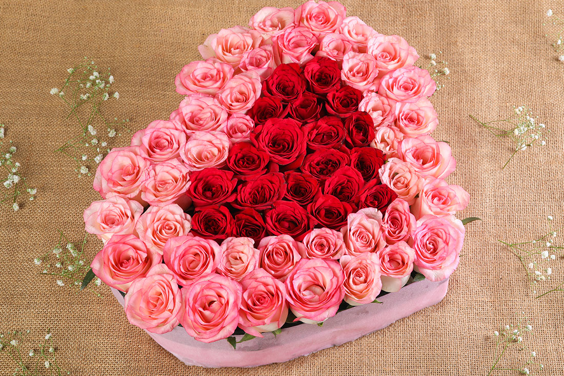 3D HD Roses Wallpapers - Top Free 3D HD Roses Backgrounds - WallpaperAccess