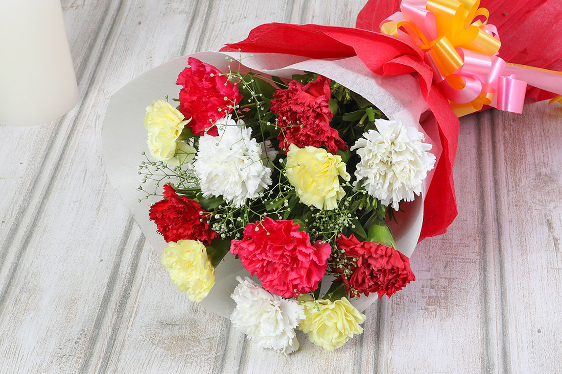 Arrangement of 12 Mixed Color Carnations
