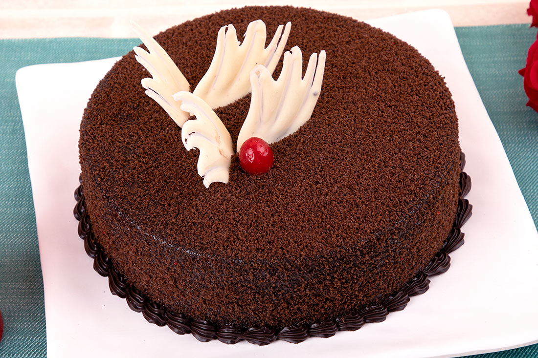 Chocolate Mud Cake Send Now
