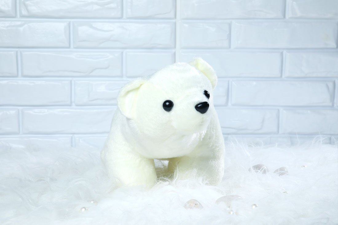 Buy White bear teddy