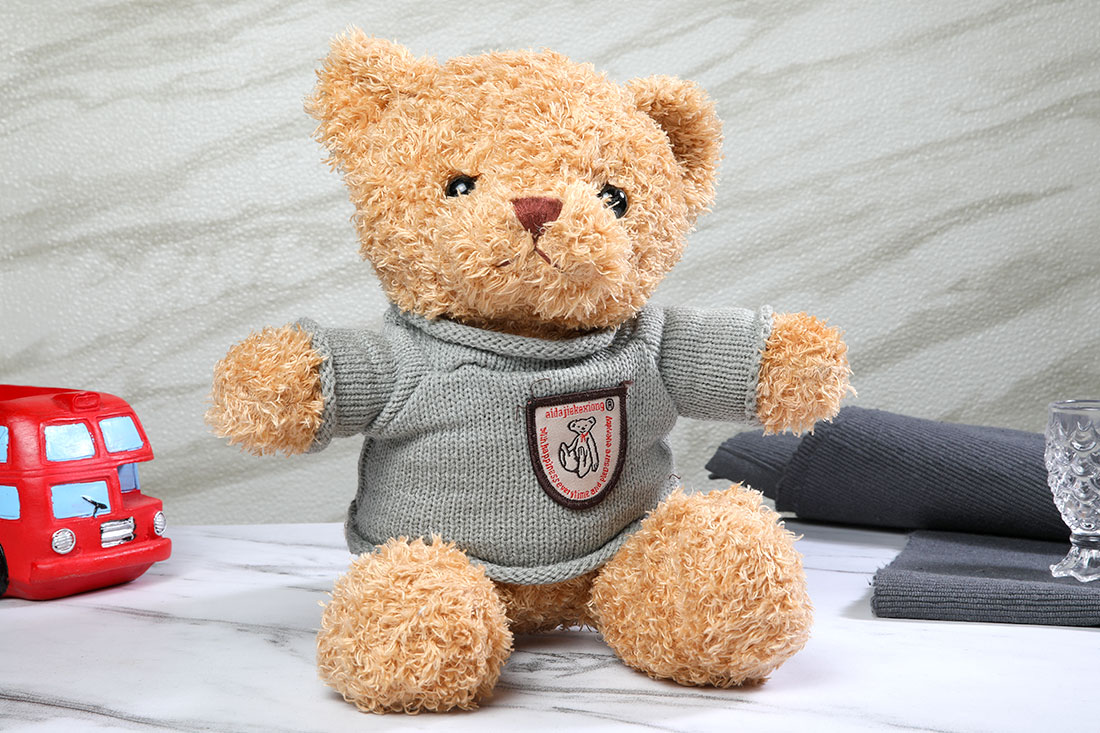 Order Hug me teddy