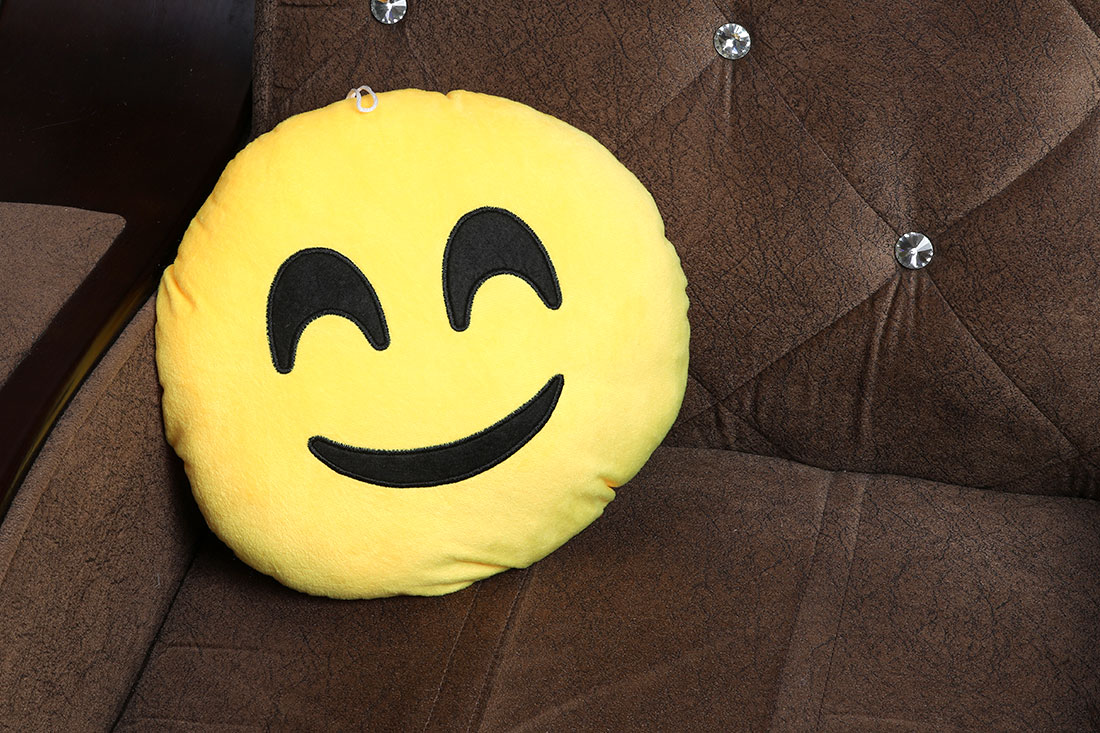 Happy go lucky pillow Order Now
