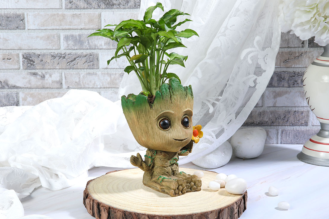 Groot Syngonium Plant
