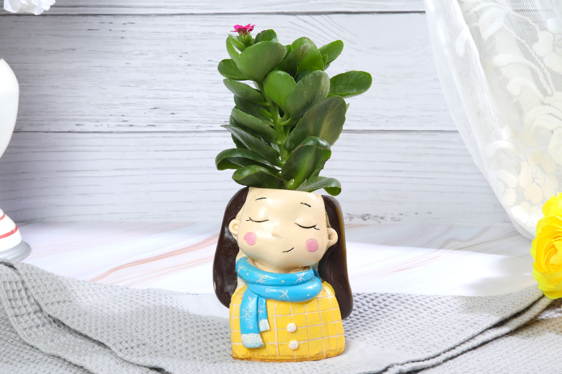 Kalanchoe Plant in Muffler Girl Pot Send Now