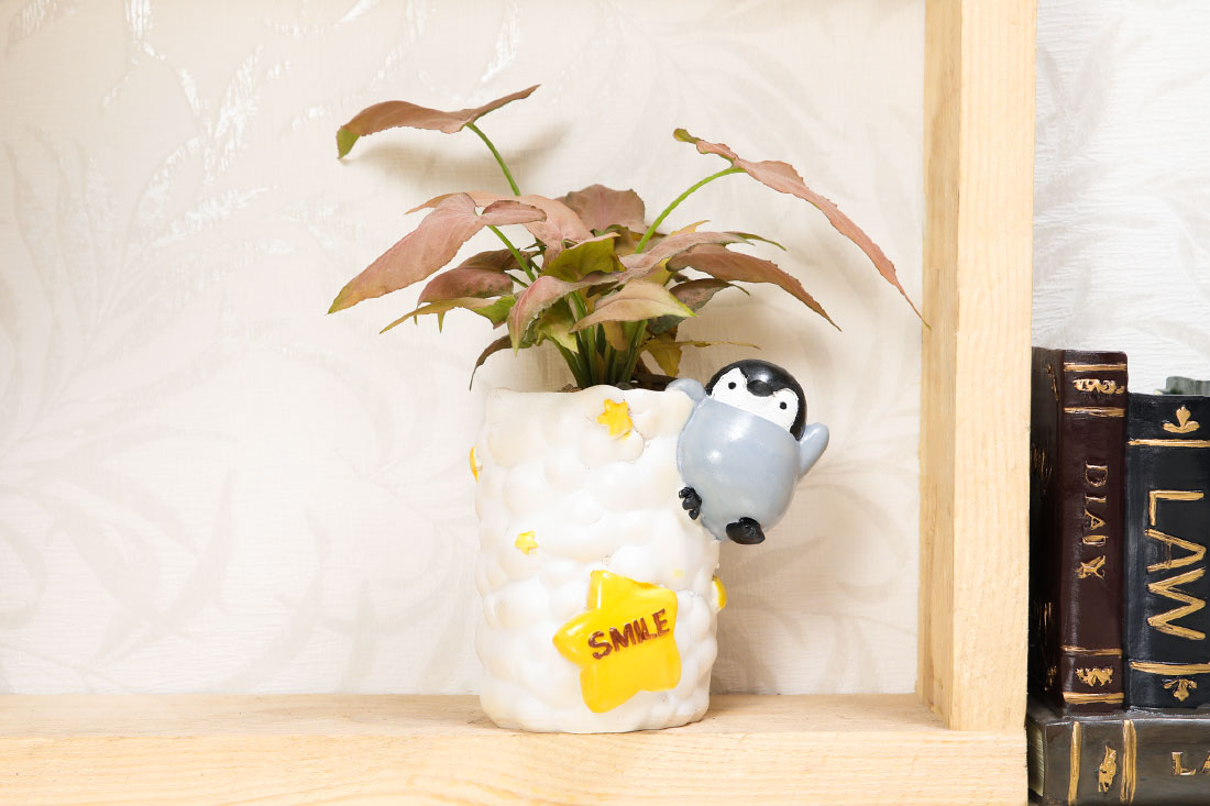 Pink Syngonium in Penguin Pot