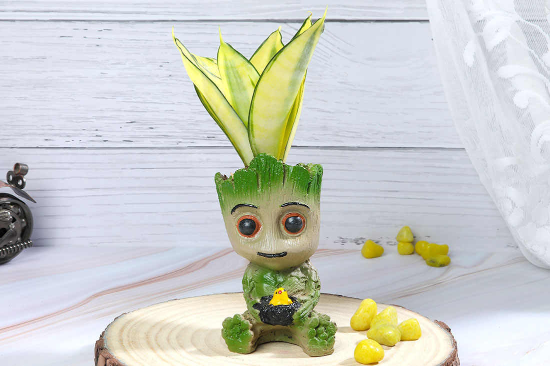 Buy Golden Sanseveria in Happy Groot Online