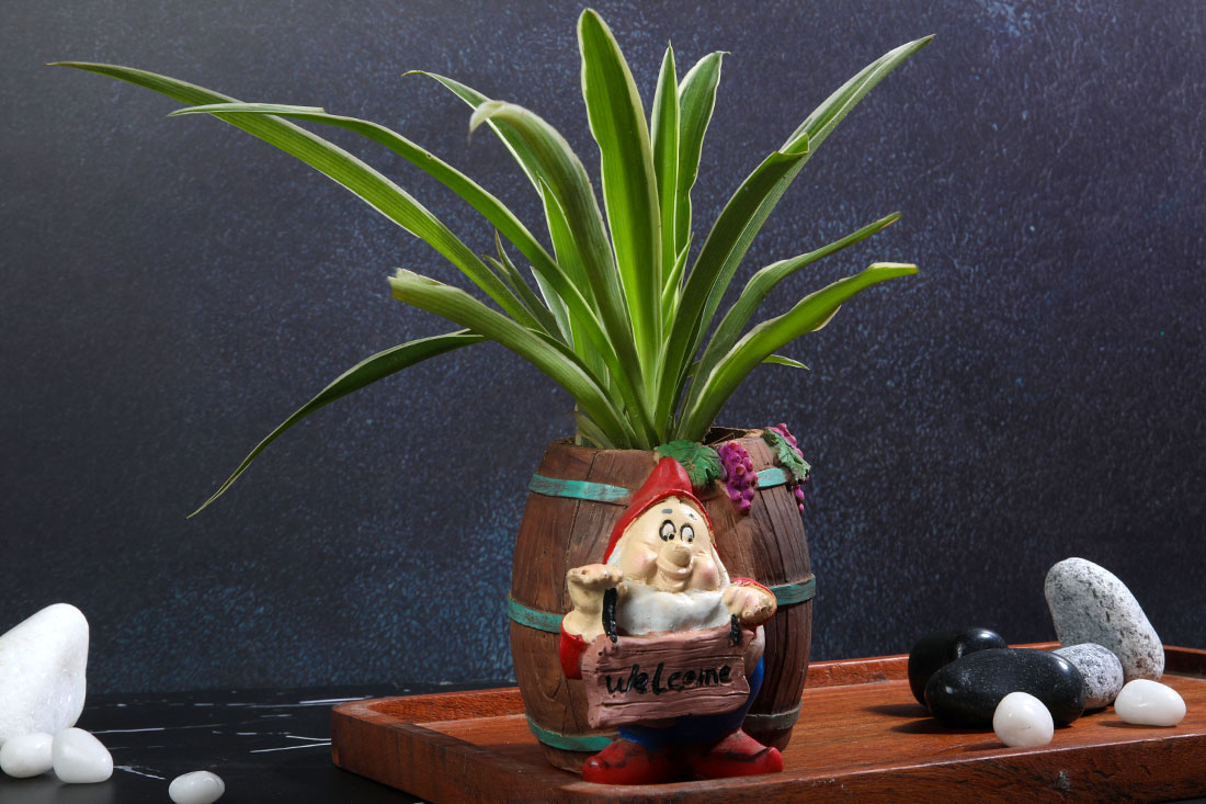Spider Plant In Santa Pot
