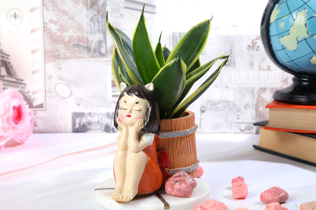 Senseveria Lotus Plant with Cute Girl Online