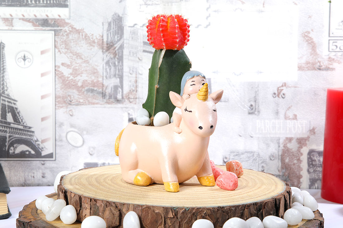 Moon Cactus In Unicorn