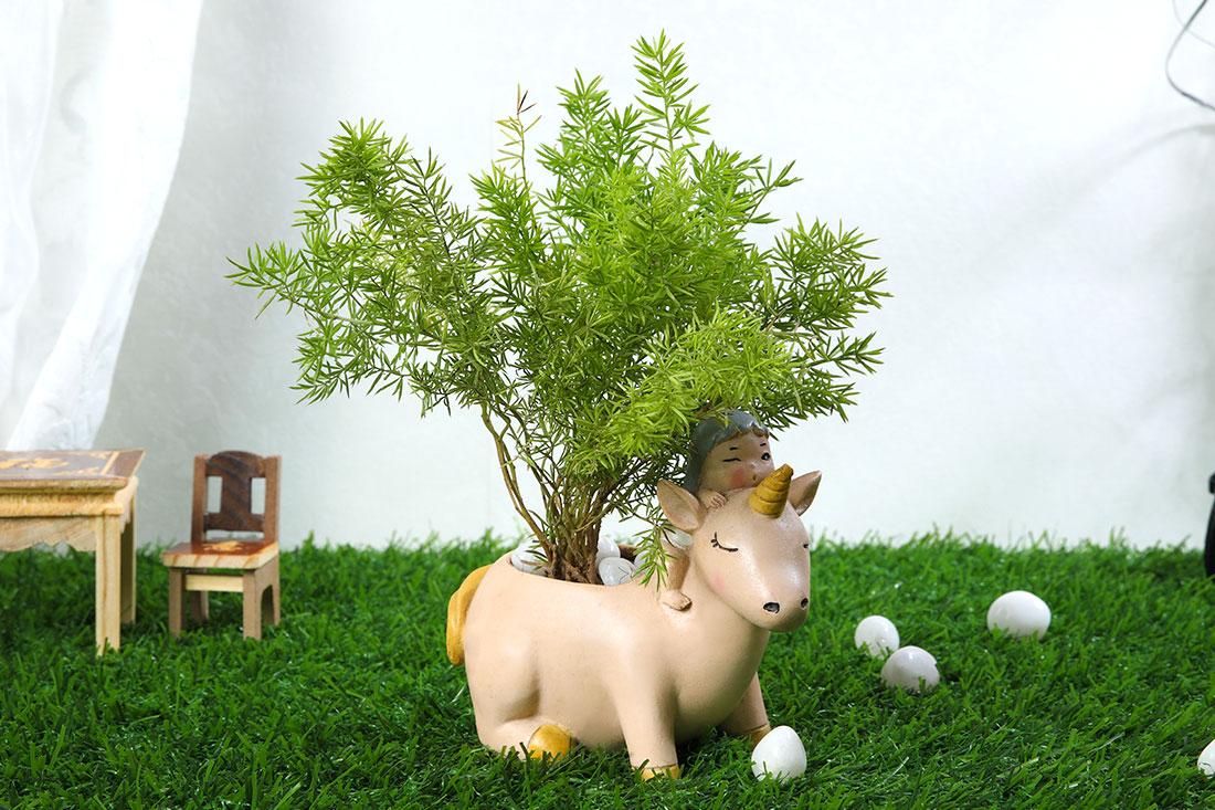 Aspargus Merry Plant In Cute Girl Unicorn