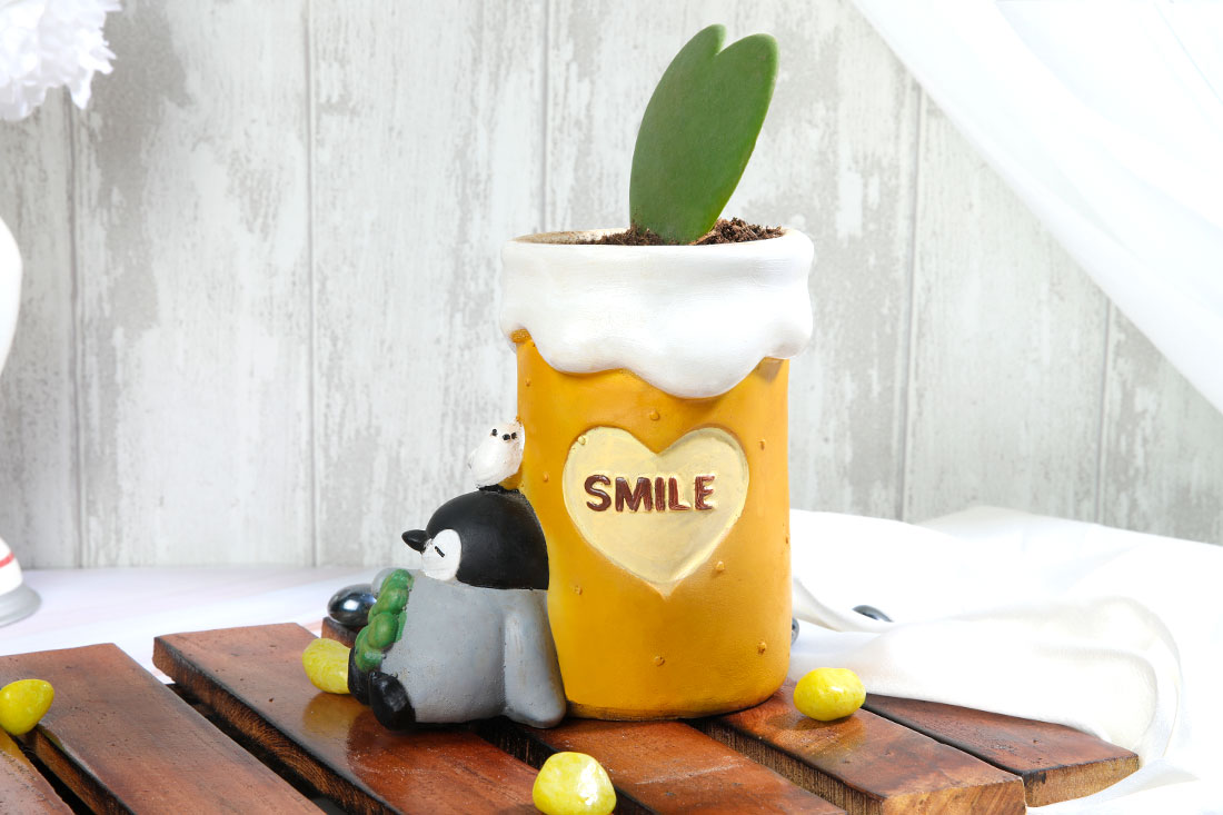 Hoya Heart In Sleeping penguin Pot Buy Online