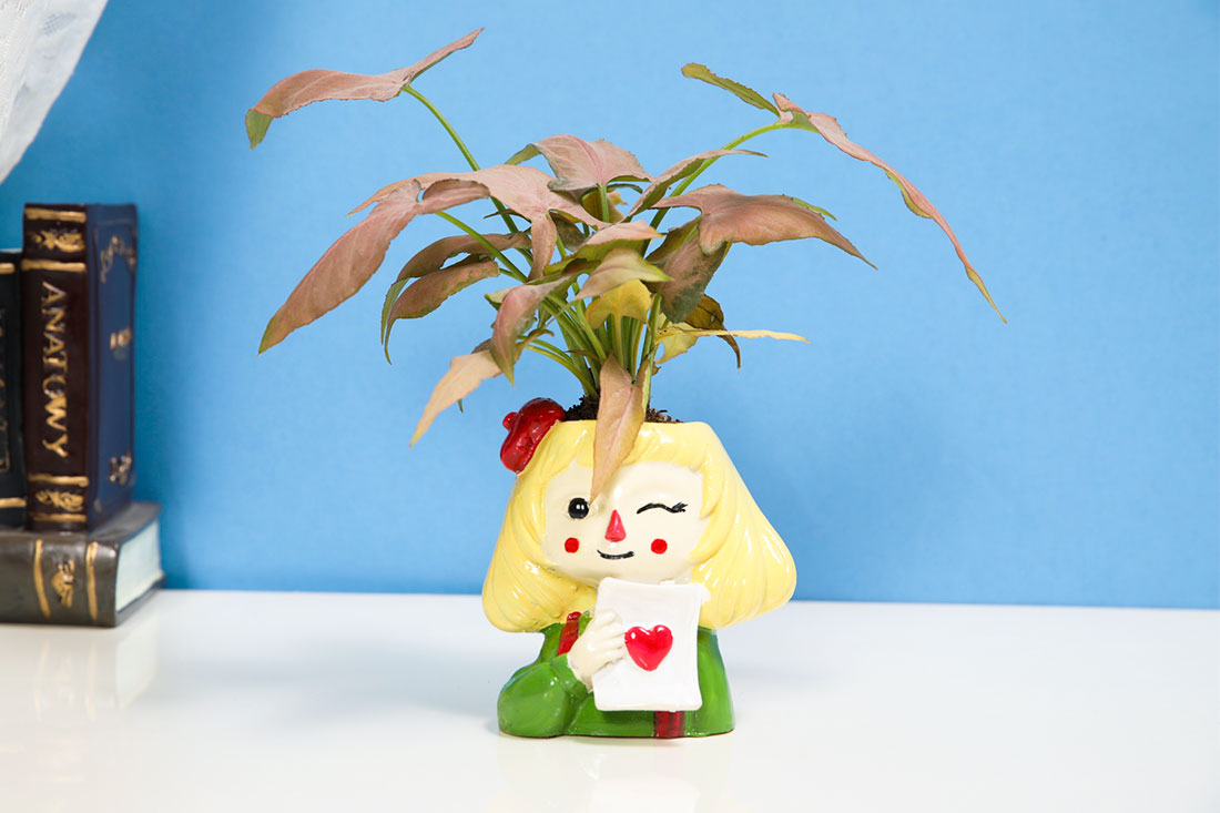 Pink Syngonium in Card Holder Girl