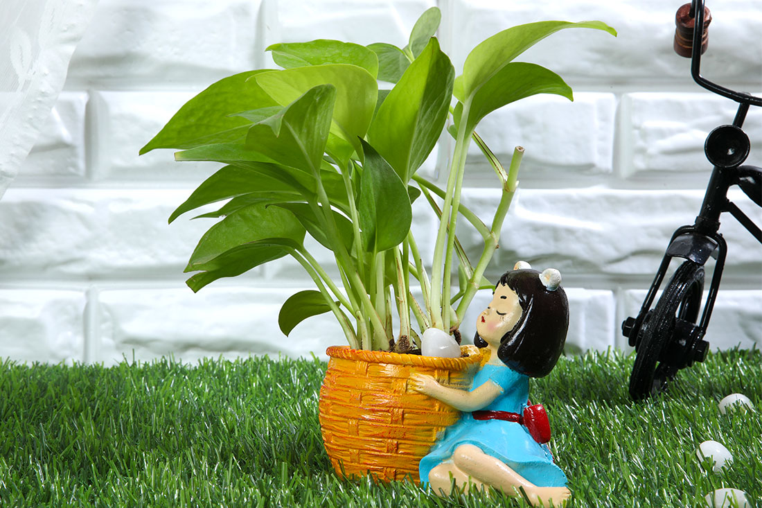 Golden Money Plant In Cute Basket Girl