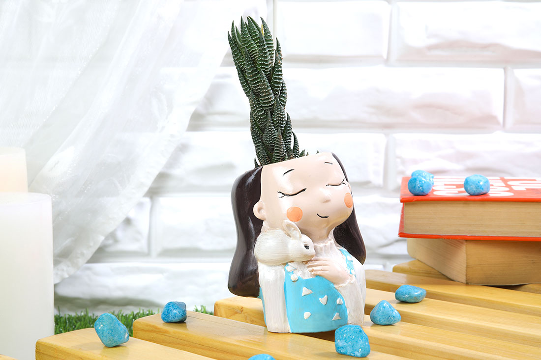 Buy Haworthia Chhutia In Rabbit Holder Girl