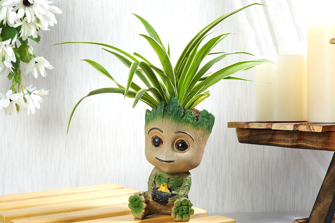 Spider plant In Funny Groot