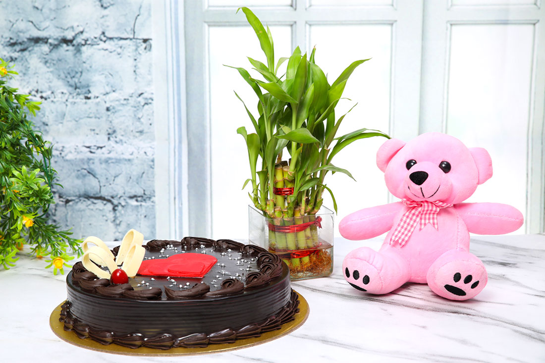 Mind-blowing Occasion Special Combo Buy Online
