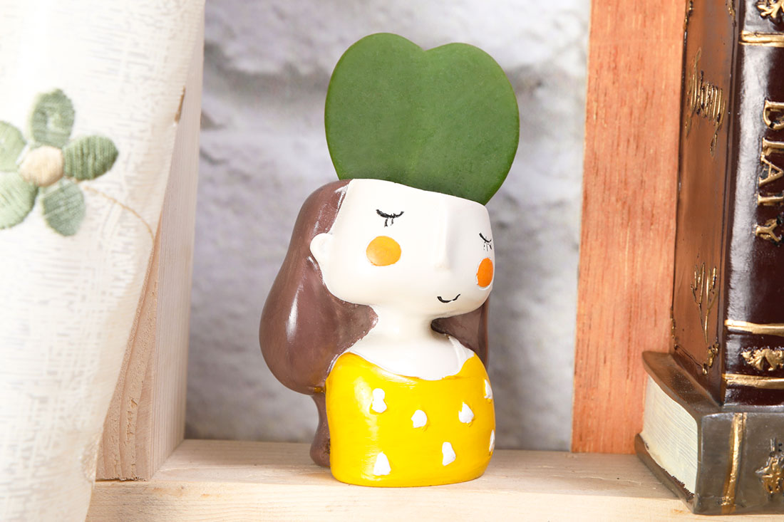 Order Send Hoya Heart Plant for Home