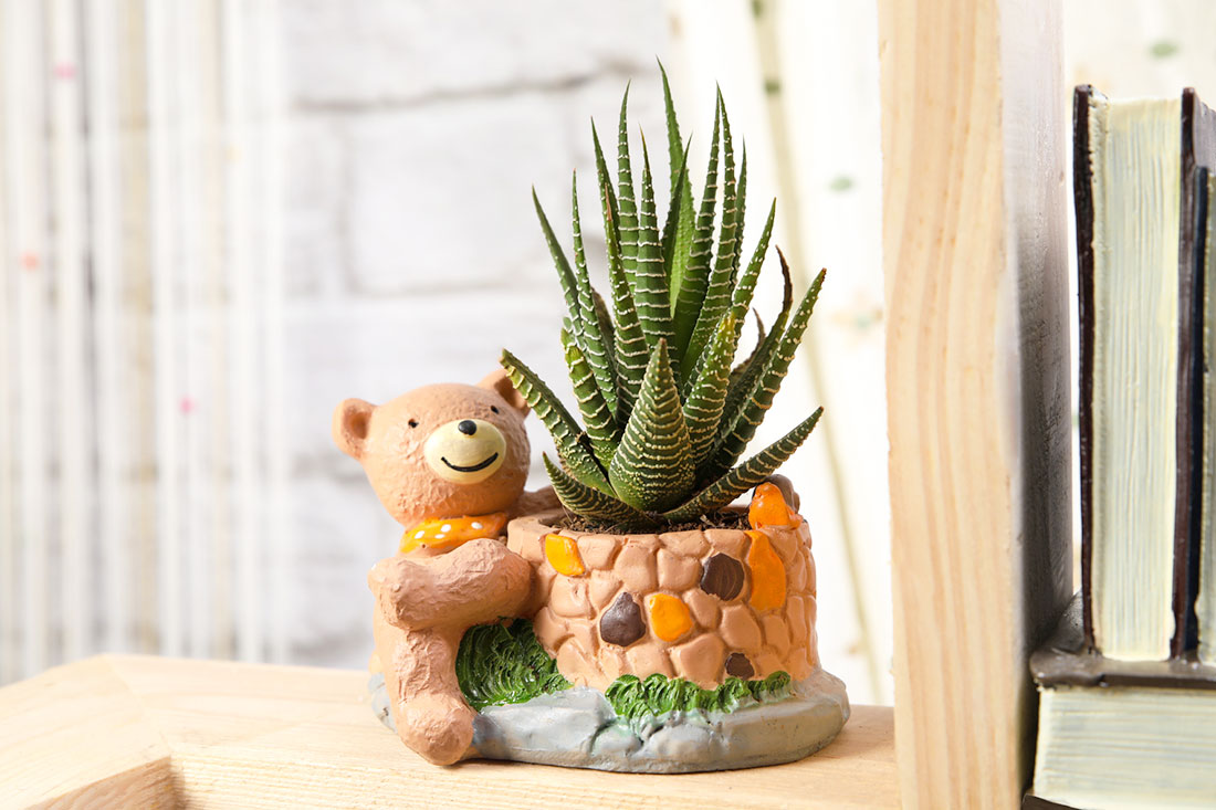 Send Haworthia In Sitting Bear Pot