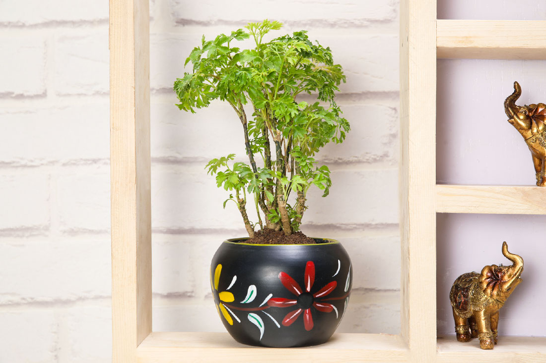 Buy Dekorly Artificial Wild Green Decorative Bonsai plant with vintage pot  for Home Decor Best Different Types of Decorative Plants Artificial Flowers  with Pot Online at Best Prices in India - JioMart.