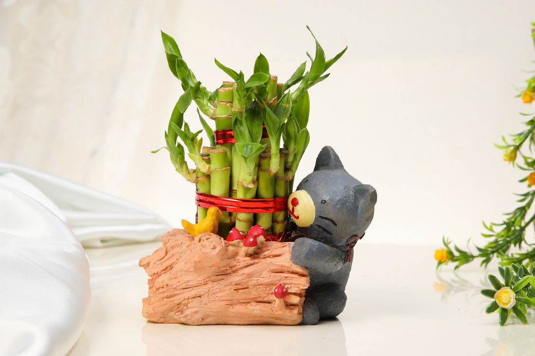 Cute Bear with Lucky Bamboo Buy Online