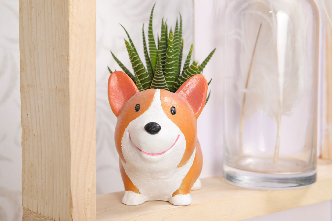 Haworthia Potted In Cute Fox Pot Order Now