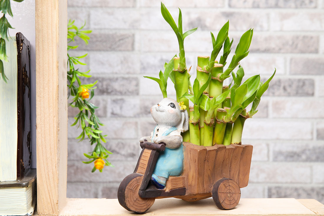 Send Lucky Bamboo In Bunny Scooter