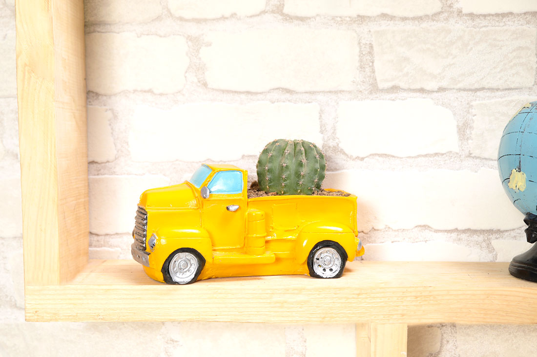 Buy Green Cactus in a Car-shaped Vase