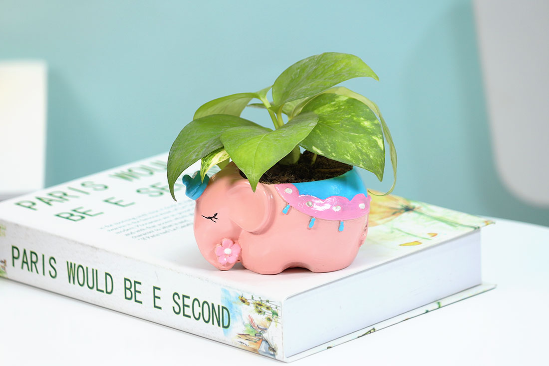 Send Good Luck Money Plant In Cute Elephant Online