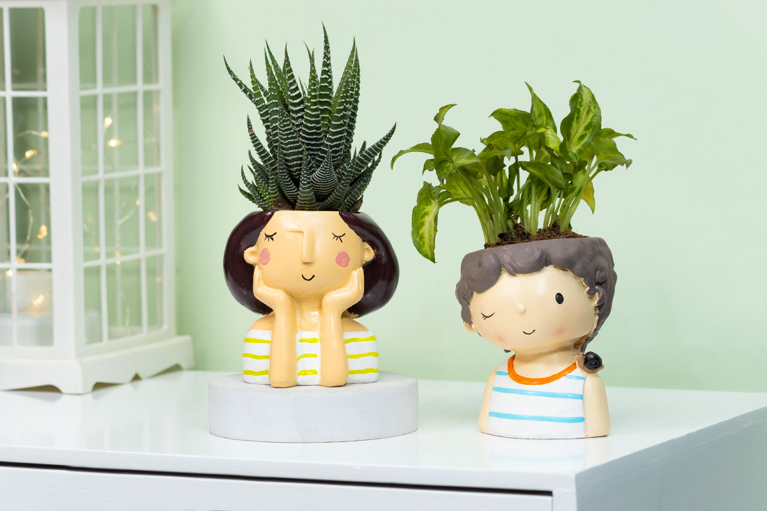 Howarthia and Syngonium in couple