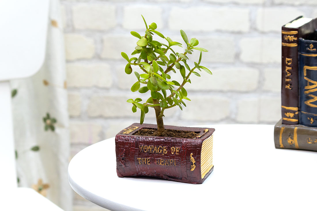 Buy Jade In A Book