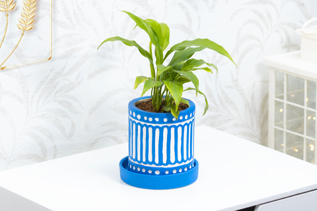 Peaceful Peace Lily In Blue Ceramic Vase Order Now