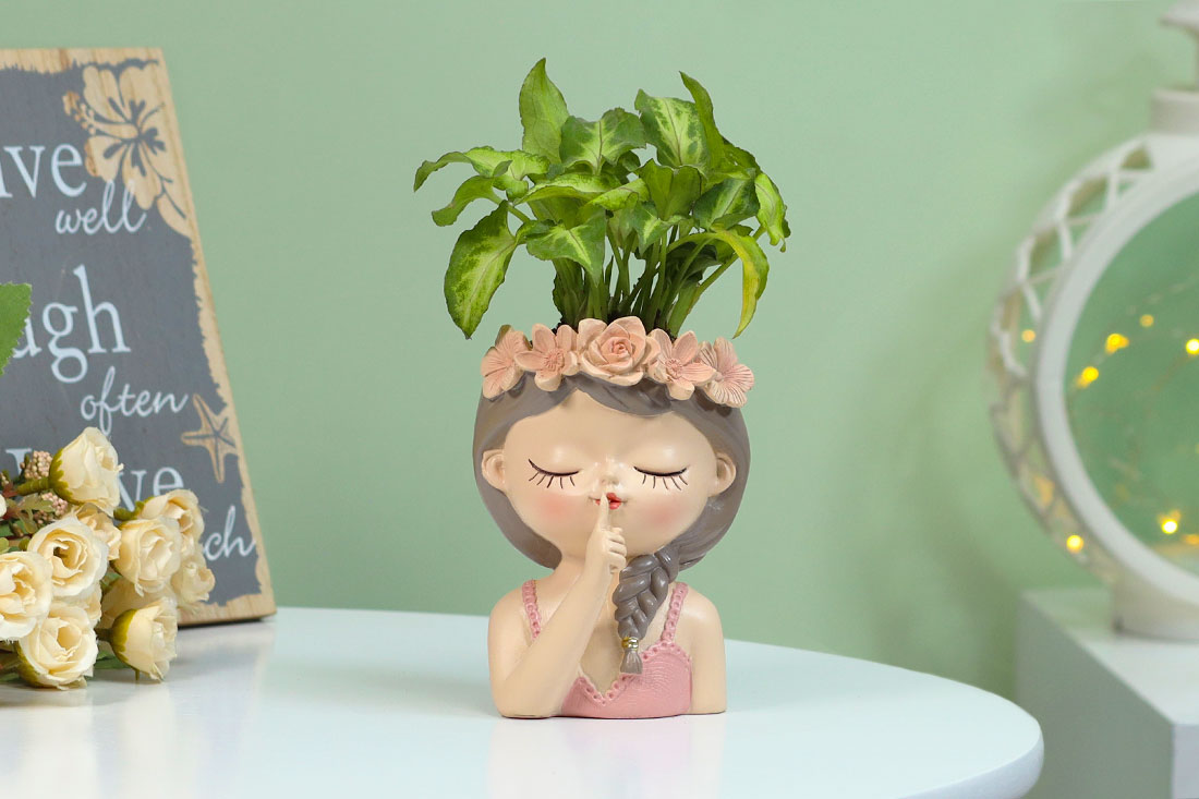 Buy Syngonium Plant In Charming Fairy