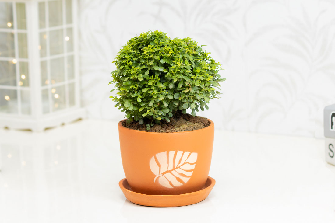 Table kamini with ceramic setting