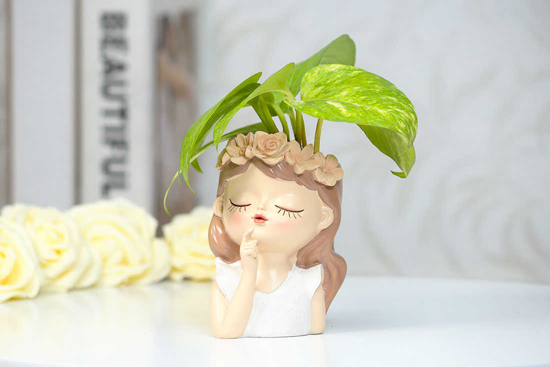 Thinking Fairy Money Plant