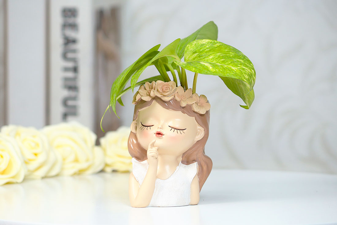 Thinking Fairy Money Plant Delivery