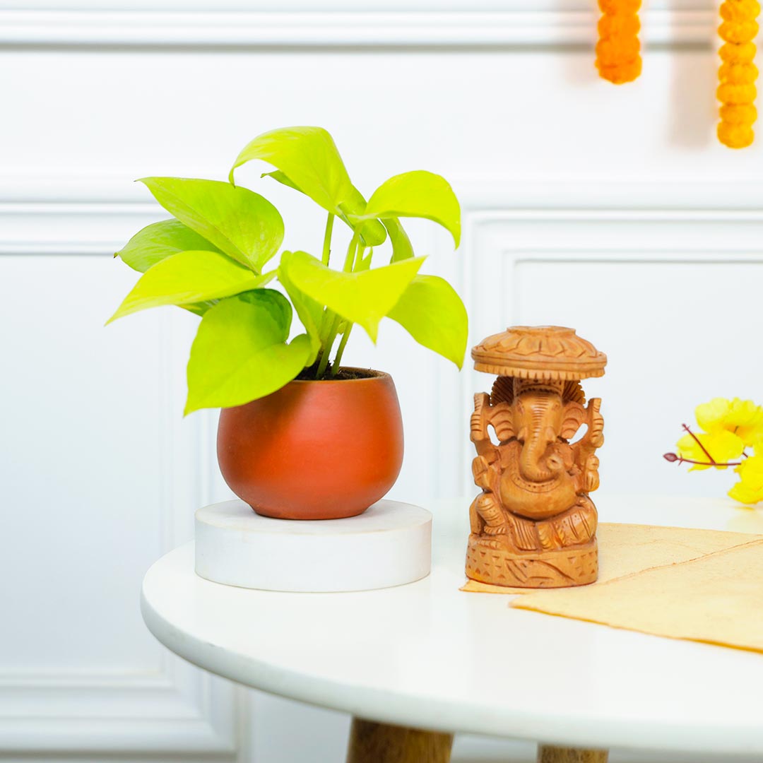 Antique Ganesha And Money Plant In Terracotta Pot Delivery
