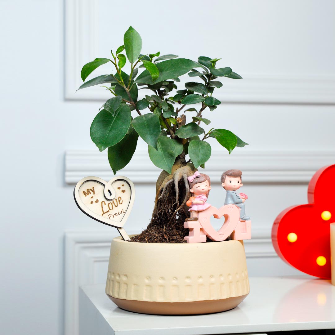 Bonsai Love In Terracotta
