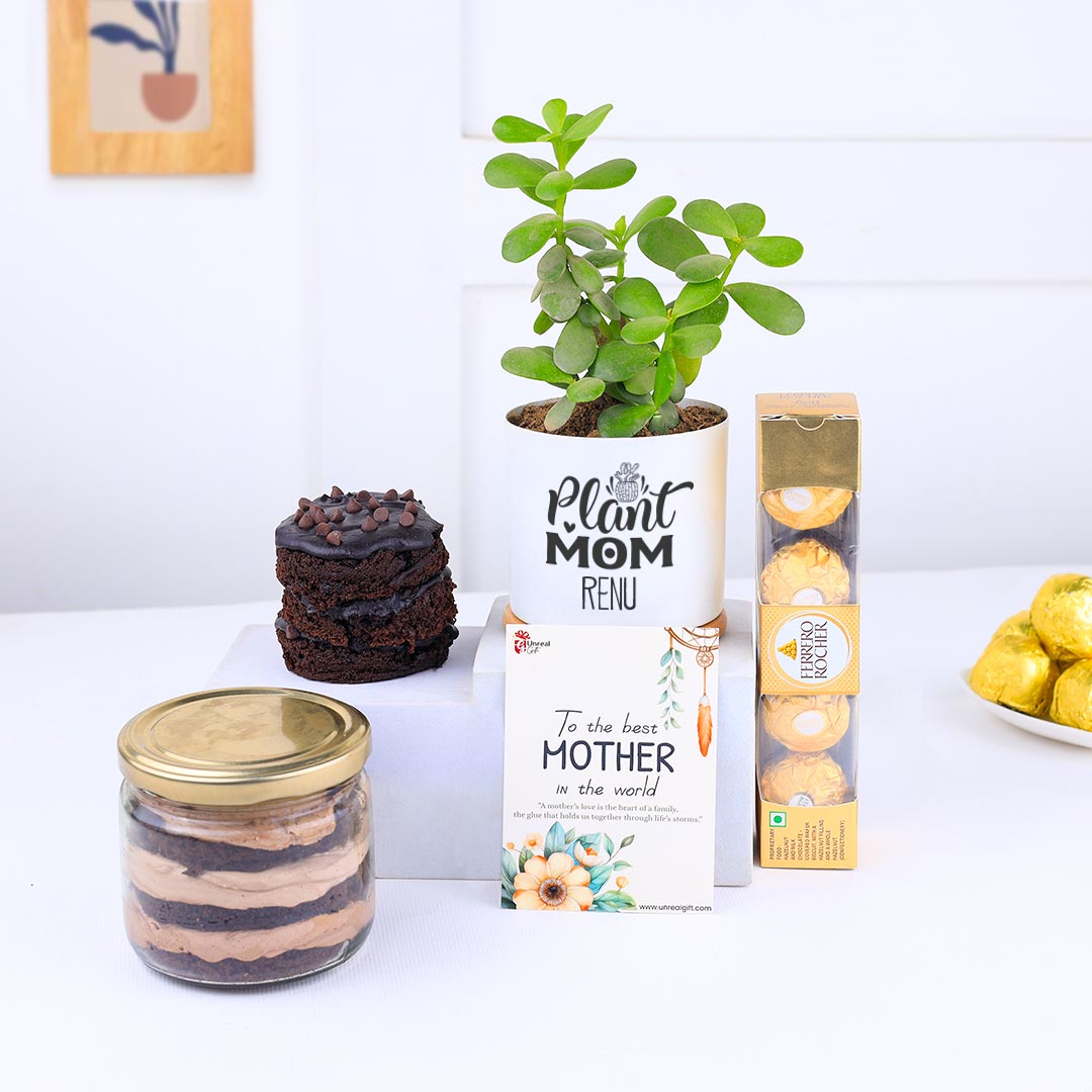 Combo Of Air-Purifying Plant N Sweet Delight